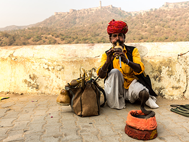 15 Things You Didn't Know About Jaipur