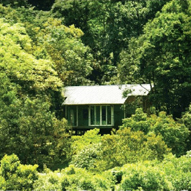 Wayanad Wild by CGH Earth