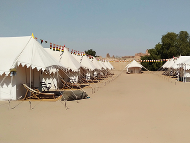 The Nagaur Cattle Fair